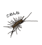 Sleepy Centipede (J)（個別スタンプ：3）