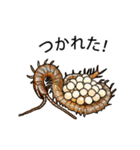 Sleepy Centipede (J)（個別スタンプ：9）