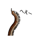 Sleepy Centipede (J)（個別スタンプ：10）