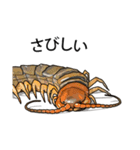 Sleepy Centipede (J)（個別スタンプ：12）