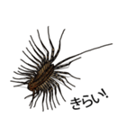 Sleepy Centipede (J)（個別スタンプ：14）