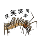 Sleepy Centipede (J)（個別スタンプ：15）