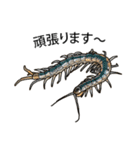 Sleepy Centipede (J)（個別スタンプ：18）