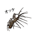 Sleepy Centipede (J)（個別スタンプ：23）
