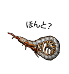 Sleepy Centipede (J)（個別スタンプ：24）