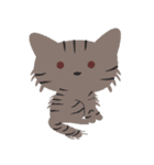 Cat gathering（個別スタンプ：5）