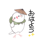 白文鳥ぴのといっしょ2（個別スタンプ：1）