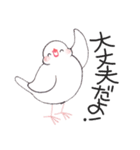 白文鳥ぴのといっしょ2（個別スタンプ：4）