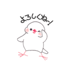 白文鳥ぴのといっしょ2（個別スタンプ：7）