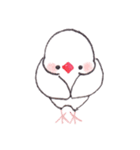 白文鳥ぴのといっしょ2（個別スタンプ：10）