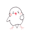 白文鳥ぴのといっしょ2（個別スタンプ：12）
