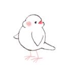 白文鳥ぴのといっしょ2（個別スタンプ：17）