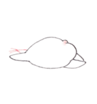 白文鳥ぴのといっしょ2（個別スタンプ：20）