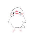 白文鳥ぴのといっしょ2（個別スタンプ：27）