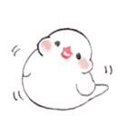 白文鳥ぴのといっしょ2（個別スタンプ：32）