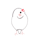 白文鳥ぴのといっしょ2（個別スタンプ：36）