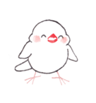 白文鳥ぴのといっしょ2（個別スタンプ：38）