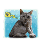 台湾ねこ 二ーハオ！（個別スタンプ：26）