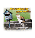 台湾ねこ 二ーハオ！（個別スタンプ：30）
