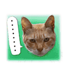 台湾ねこ 二ーハオ！（個別スタンプ：35）