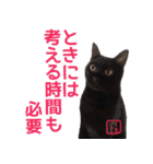 猫写真 猫の教えにゃん♪（個別スタンプ：32）