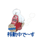 ビションになりたいトイプードルのしらす2（個別スタンプ：9）