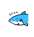 サメ'（個別スタンプ：33）