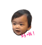 Small Rice Ball daily（個別スタンプ：37）