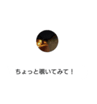 ドッキリスタンプ第2弾（個別スタンプ：13）