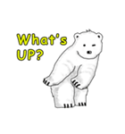 P BEAR FAMILY - English version（個別スタンプ：7）