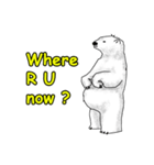 P BEAR FAMILY - English version（個別スタンプ：15）