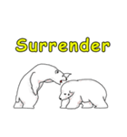 P BEAR FAMILY - English version（個別スタンプ：22）