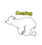 P BEAR FAMILY - English version（個別スタンプ：24）