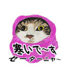 だいすきcatちゃん（個別スタンプ：10）