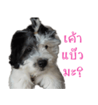 Shogun - my dog（個別スタンプ：1）