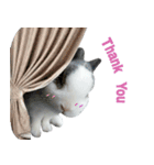 Pet Rabbit - Goling（個別スタンプ：9）