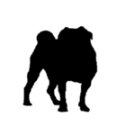 sheep and pugs（個別スタンプ：2）