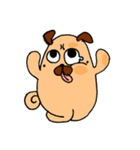 MIMI pug（個別スタンプ：1）