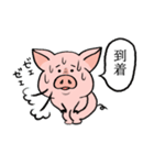手持ち ブタさん（個別スタンプ：4）