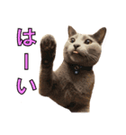 ノアとリコ（個別スタンプ：1）