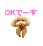 ノアとリコ（個別スタンプ：2）