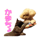 ノアとリコ（個別スタンプ：3）