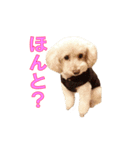 ノアとリコ（個別スタンプ：7）