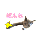 ノアとリコ（個別スタンプ：9）