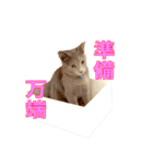 ノアとリコ（個別スタンプ：11）