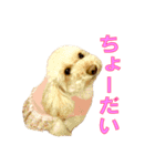 ノアとリコ（個別スタンプ：13）