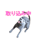 ノアとリコ（個別スタンプ：14）