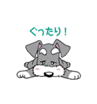 シュナウザー犬ロッキー2（個別スタンプ：1）