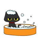 Just Black cat -Like to play mobile game（個別スタンプ：36）