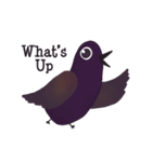 Stupid Birds（個別スタンプ：1）